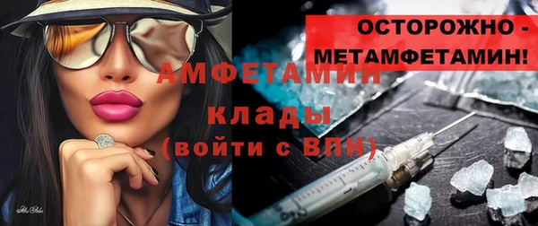 хмурый Алексин